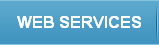WEB SERVICES